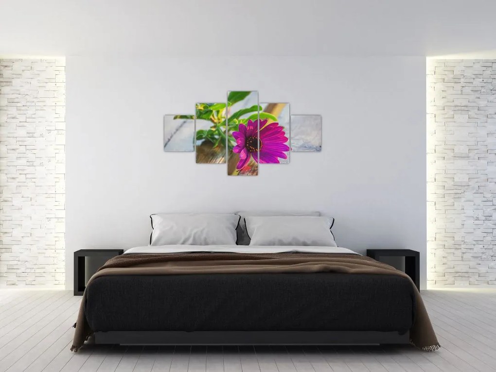 Obraz ciętego kwiatu (125x70 cm)