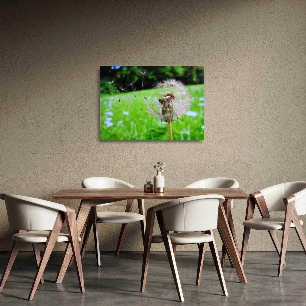 Obraz na szkle dmuchawca (70x50 cm)