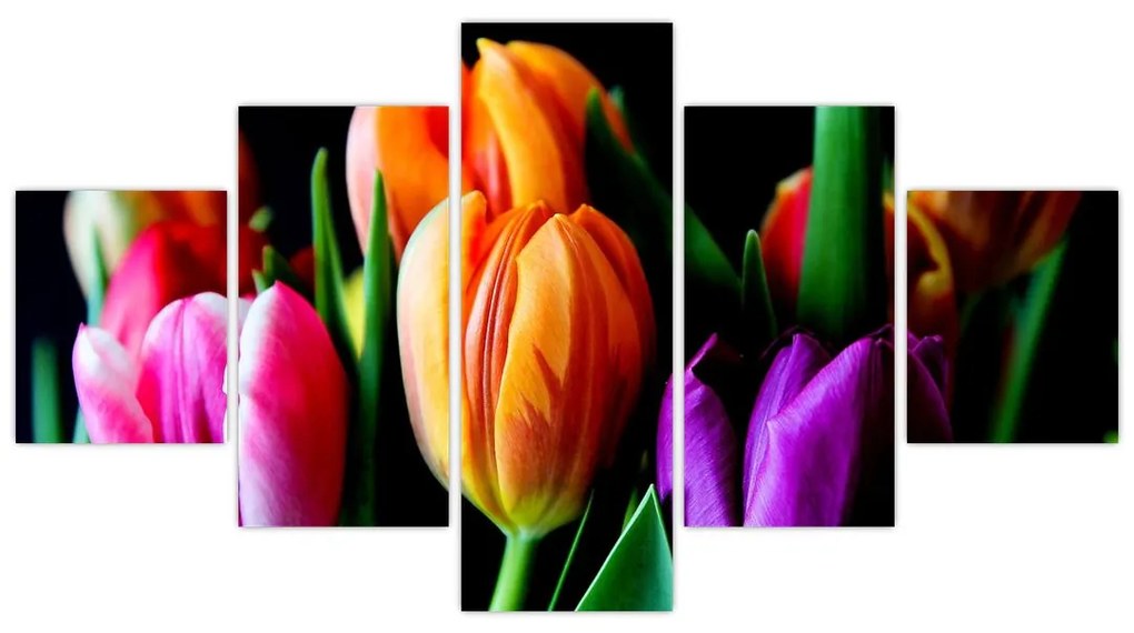 Obraz tulipanów na czarnym tle (125x70 cm)