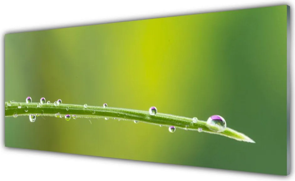 Panel Szklany Diament Porannej Rosy