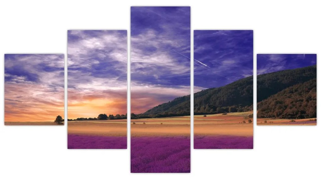 Obraz lawendowej łąki (125x70 cm)