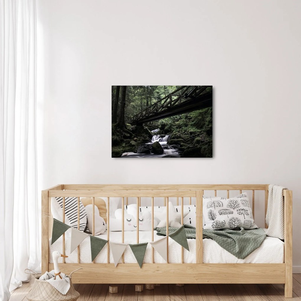Obraz z czarnego lasu (70x50 cm)