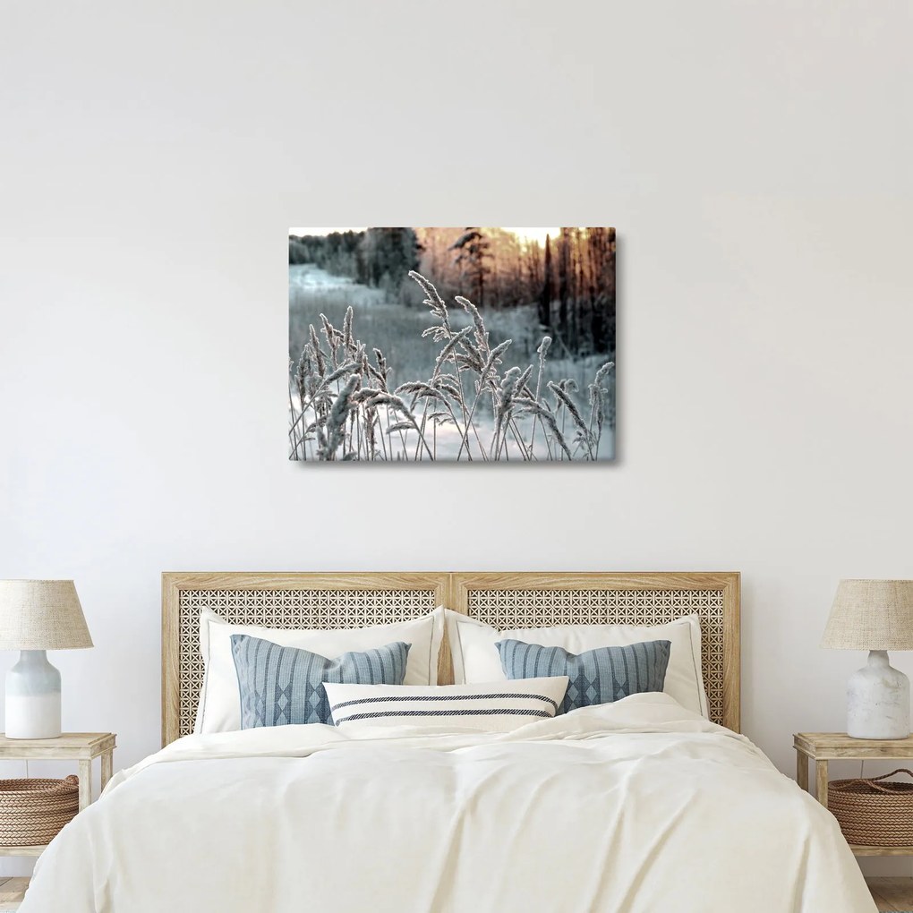 Obraz - Frozen Meadow (70x50 cm)
