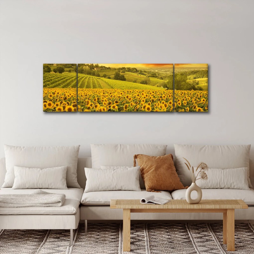 Obraz - Pole słoneczników (170x50 cm)