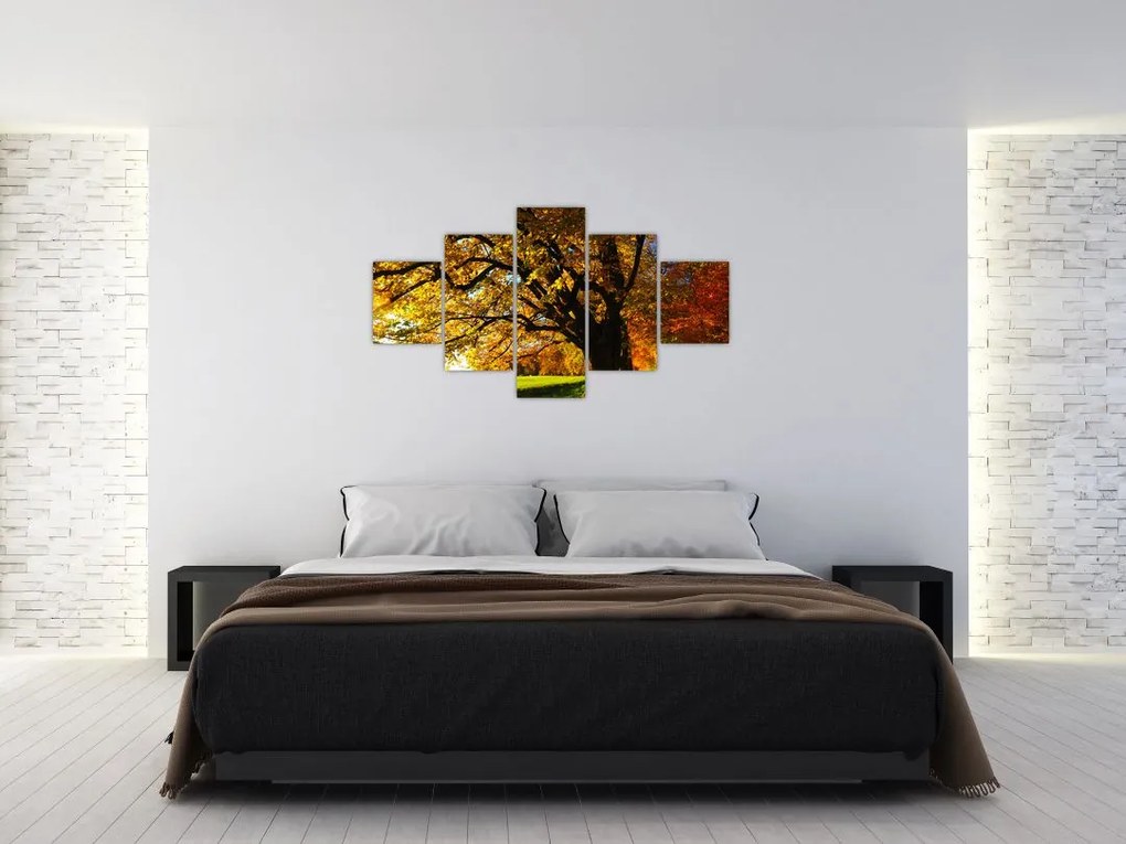 Obraz jesiennego drzewa (125x70 cm)