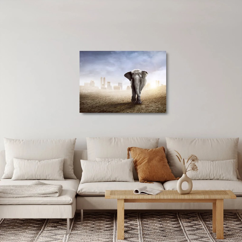 Obraz na szkle - Słonie w wielkim mieście (70x50 cm)