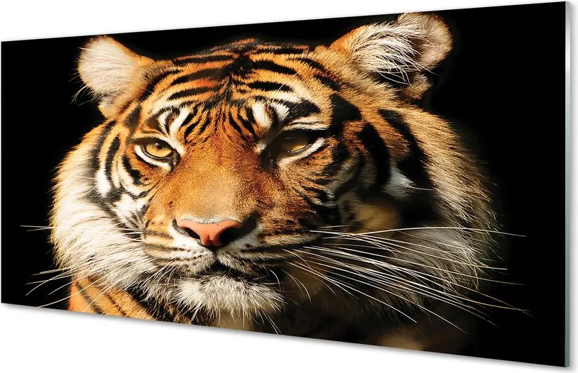 Panel szklany do Kuchni Skradający się Drapieżnik