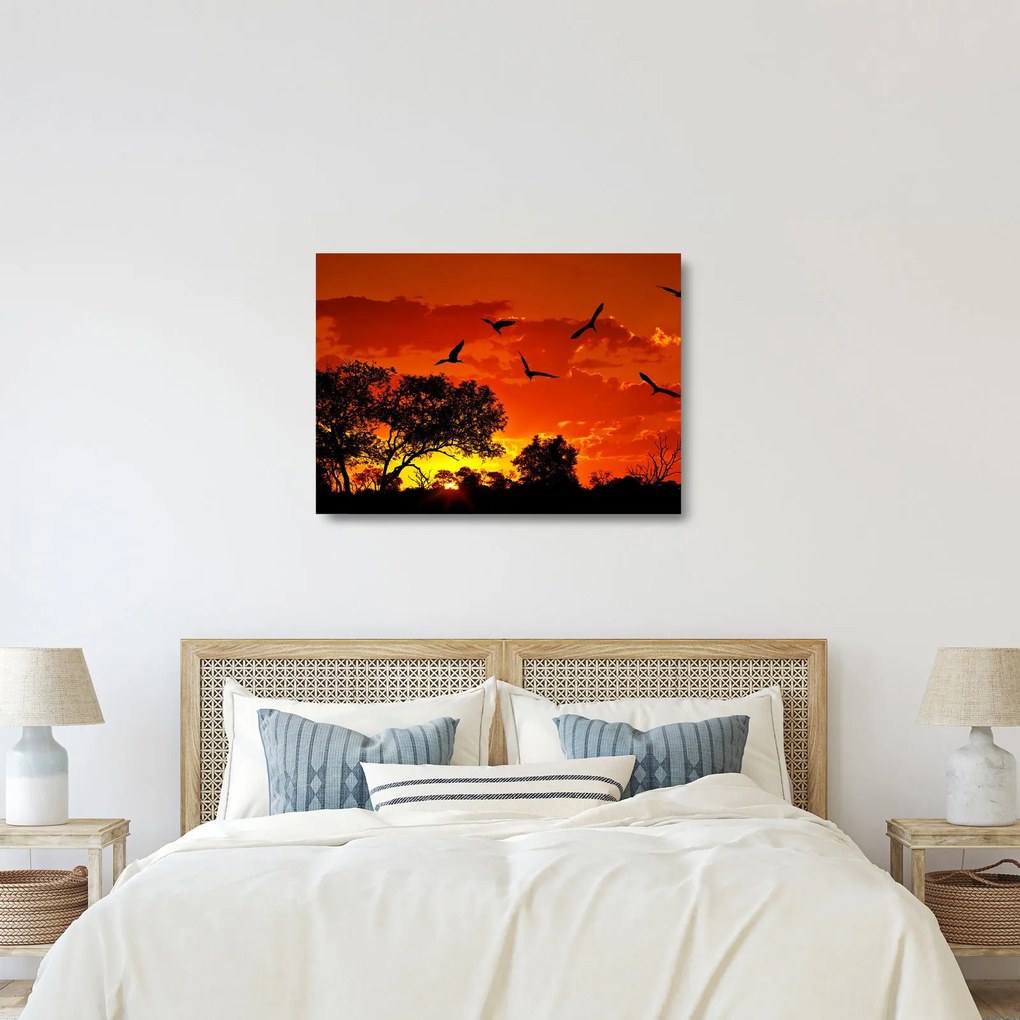 Obraz na szkle ptaków o zachodzie słońca (70x50 cm)