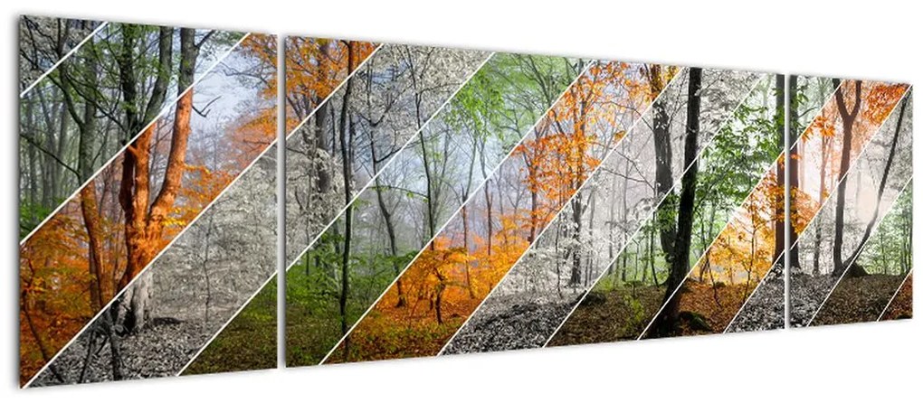 Obraz - Zmieniające się pory roku (170x50 cm)