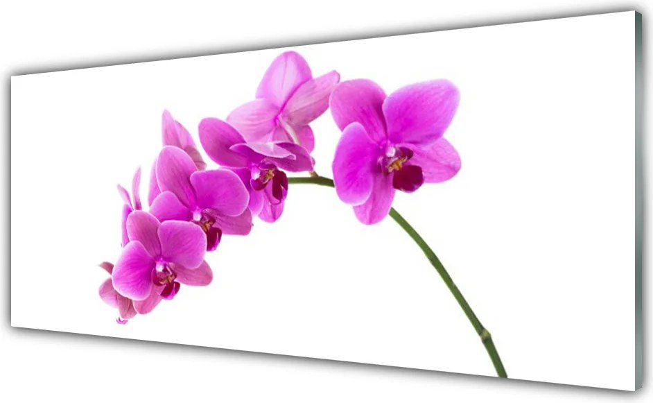 Panel nad blat kuchenny Elegancja Egzotycznej Natury