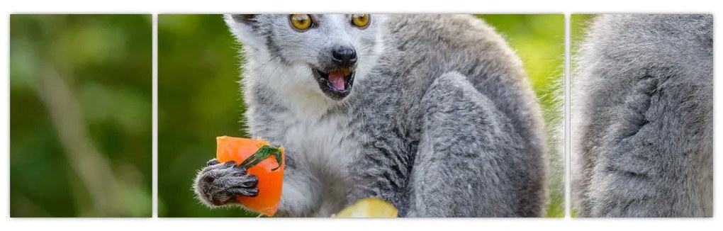 Obraz lemura (170x50 cm)