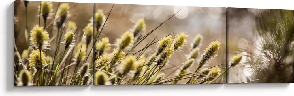 Obraz - Zieleń (170x50 cm)