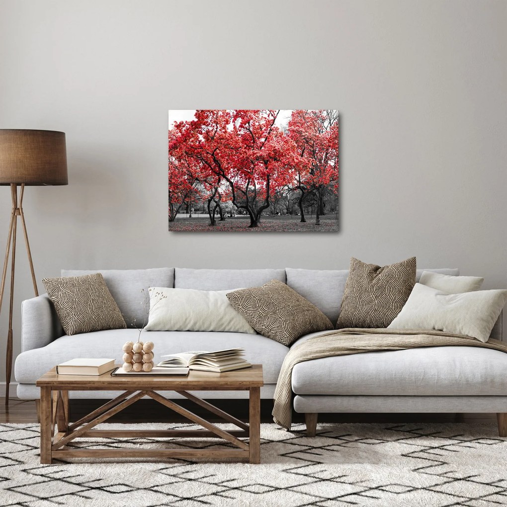 Obraz - Czerwone drzewa, Central Park, New York (70x50 cm)