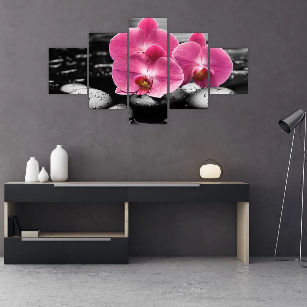Obraz - Różowe orchidee (125x70 cm)