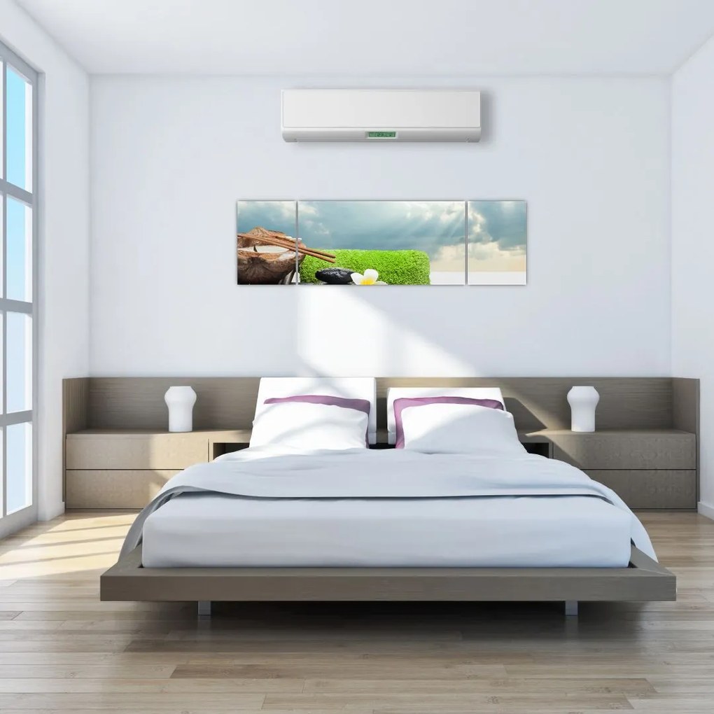 Obraz - Spa and relakx (170x50 cm)