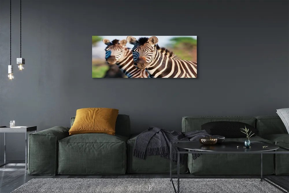 Zdjęcie na płótnie Stado Zebr