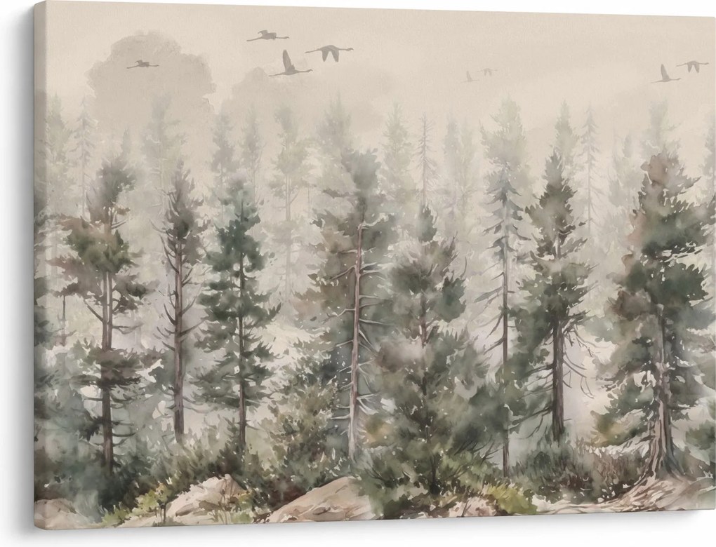 Obraz - Pine forest I., aquarel (70x50 cm)