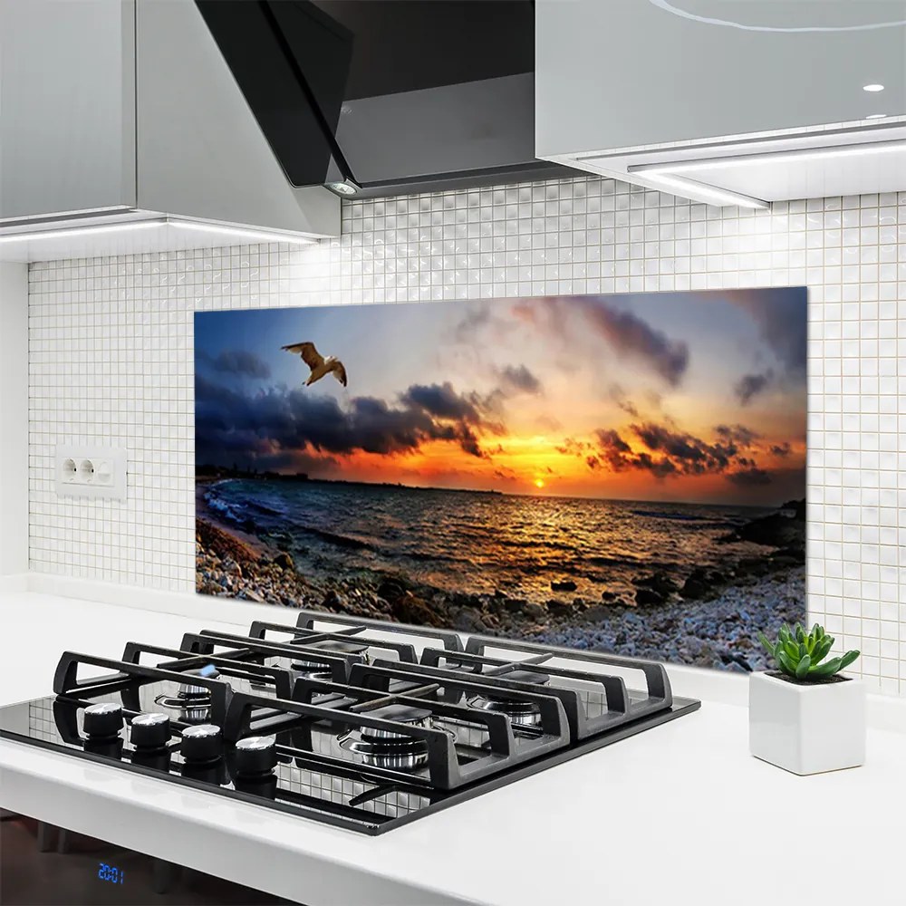 Panel Kuchenny Mewa Nad Brzegiem Oceanu