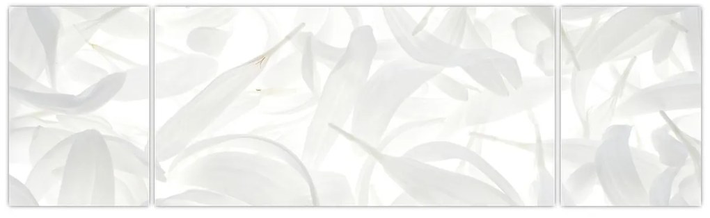 Obraz - Płatki (170x50 cm)