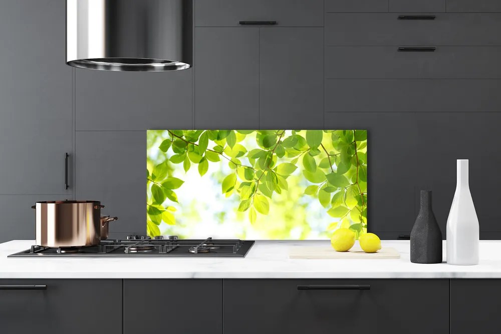 Panel Kuchenny Liście Natura Roślina