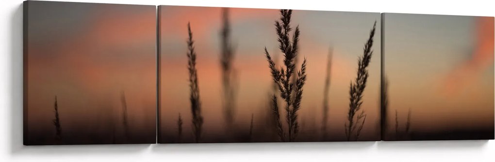 Obraz - Sylwetka rośliny (170x50 cm)
