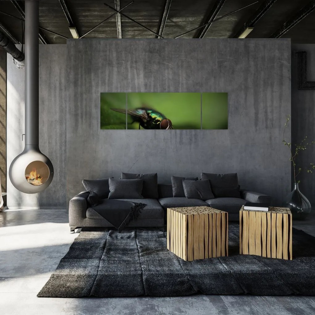 Obraz - Mucha (170x50 cm)