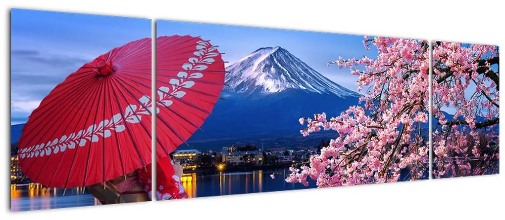 Obraz - Widok na szczyt, Japonia (170x50 cm)