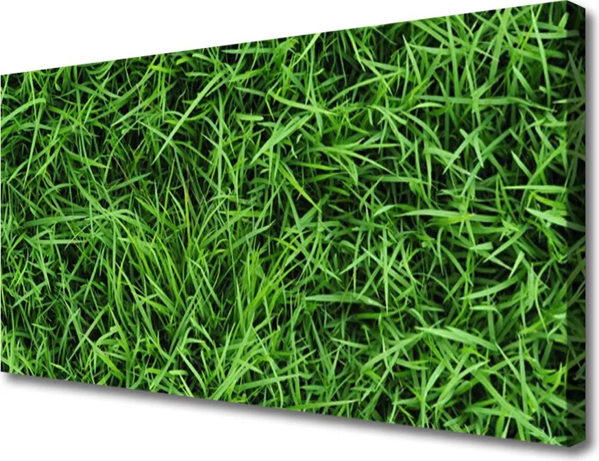Zdjęcie na płótnie Soczysta Zielona Trawa