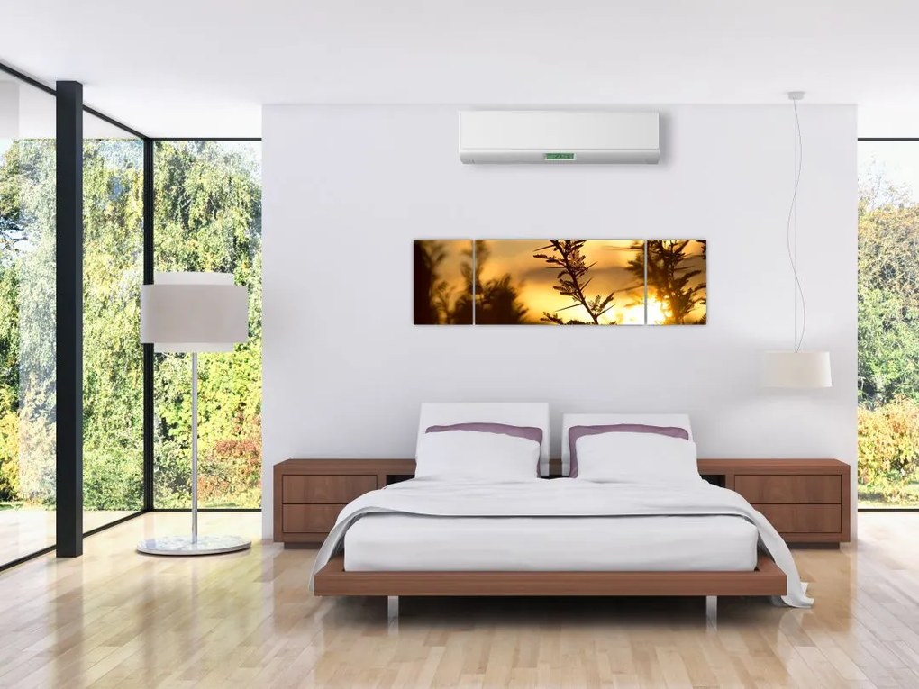 Obraz - słońce zachodzące za drzewami (170x50 cm)