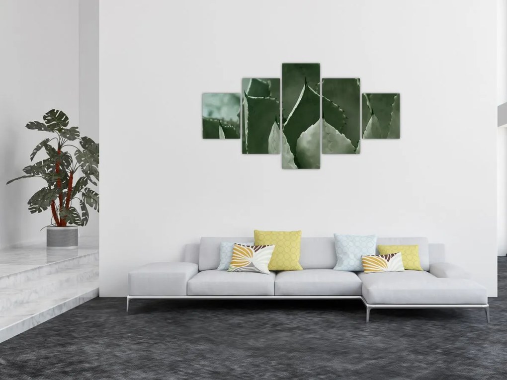 Obraz - Zielona agawa (125x70 cm)