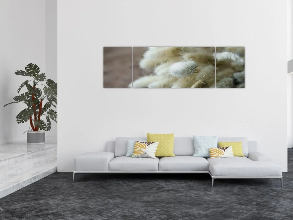 Obraz - Zajęczy ogonek (170x50 cm)