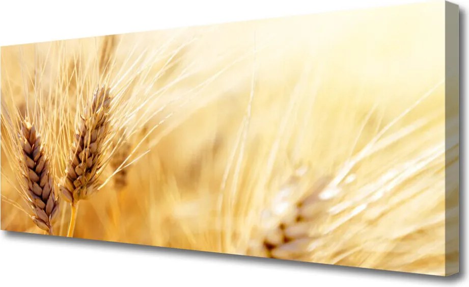 Zdjęcie na płótnie Złociste Łany Pszenicy