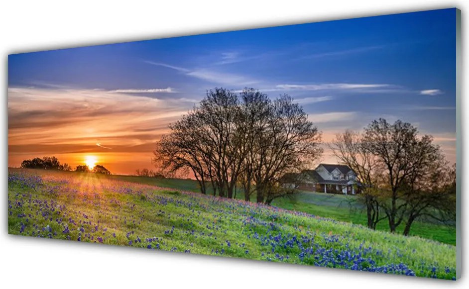 Panel Szklany Słoneczna Polana o Poranku