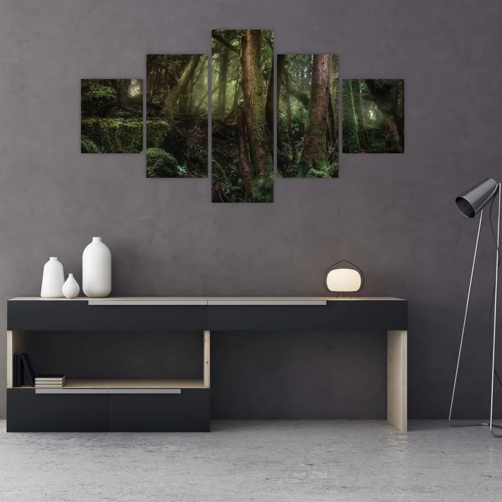 Obraz - Tajemniczy las (125x70 cm)