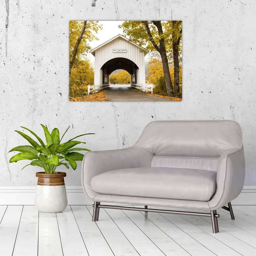 Obraz mostu w Oregonie (70x50 cm)