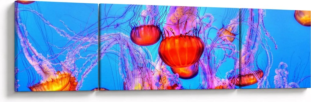 Obraz meduz w morzu (170x50 cm)
