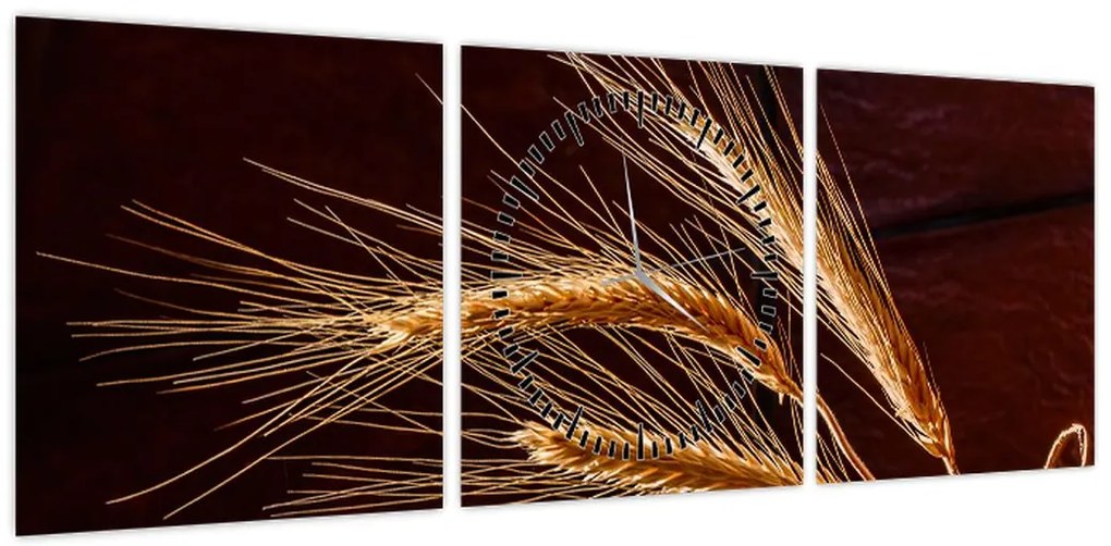 Obraz - Fragment kłosa żyta (z zegarem) (90x30 cm)