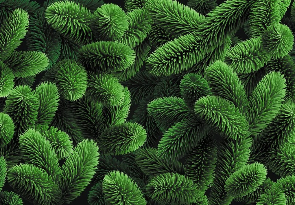 Fototapeta - Gałązki iglaste (196x136 cm)