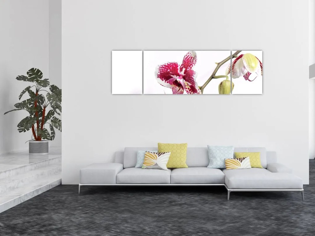 Obraz kwiatu orchidei (170x50 cm)
