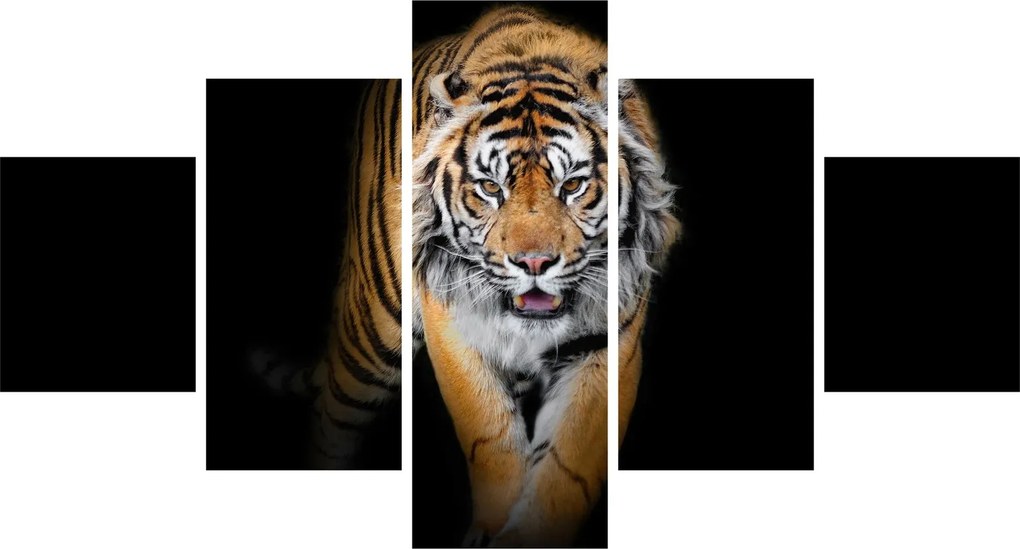 Obraz - Tygrys (125x70 cm)