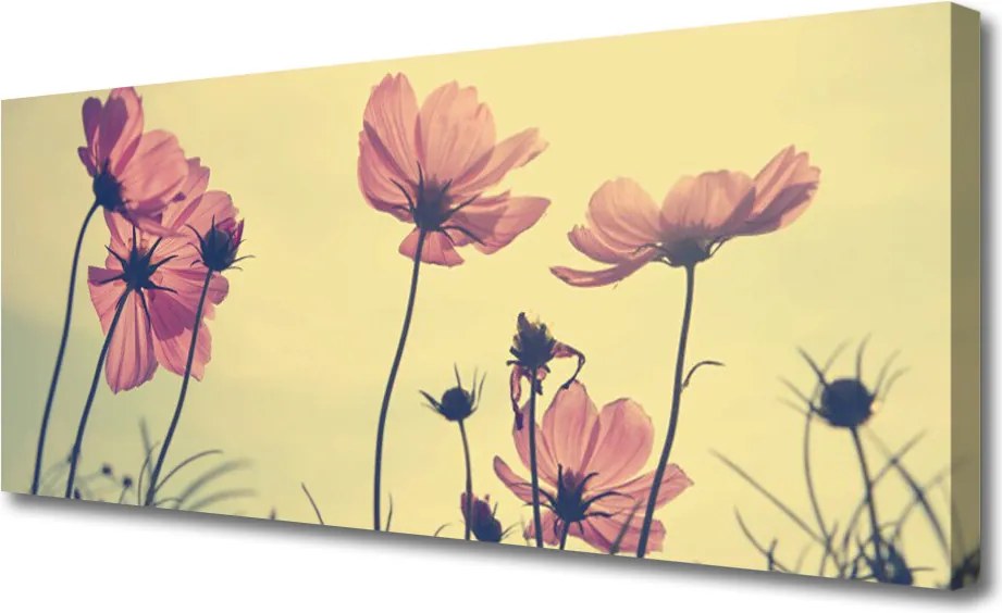Obraz canvas Delikatność Letnich Kwiatów