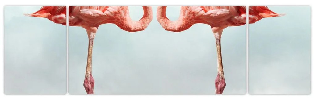 Obraz dwóch flamingów (170x50 cm)
