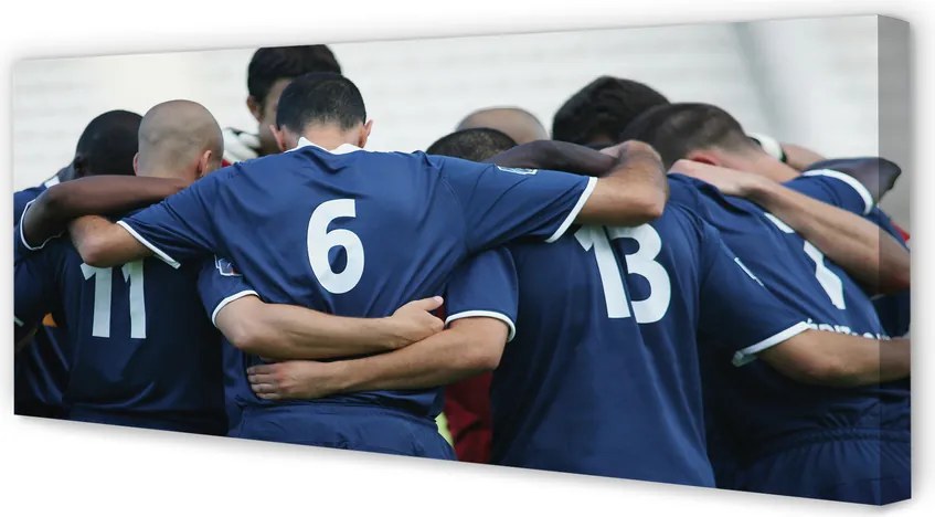 Obraz na płótnie Walka Na Zielonej Murawie