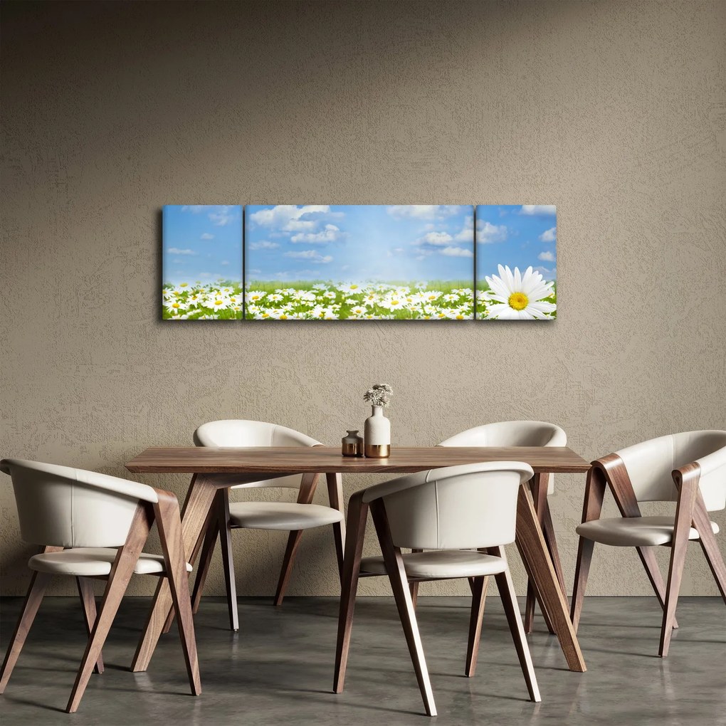 Obraz kwitnącej łąki ze stokrotkami (170x50 cm)