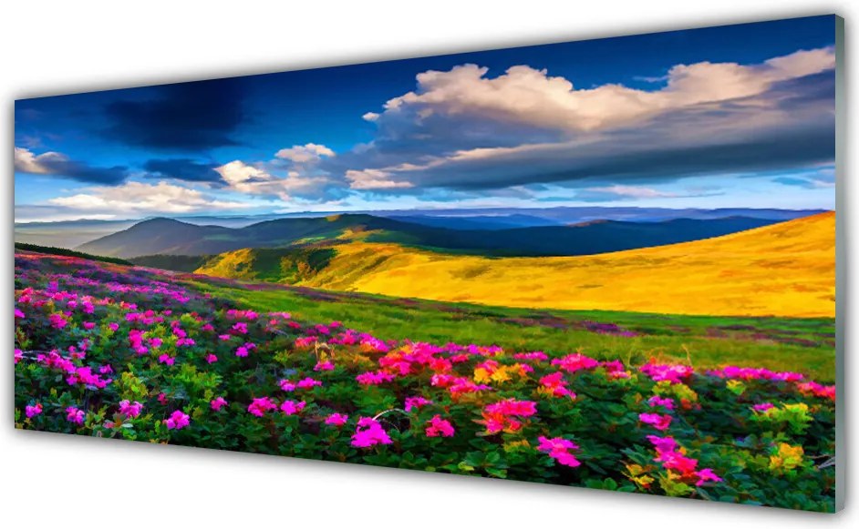 Panel Kuchenny Malownicza Łąka Kwiatowa