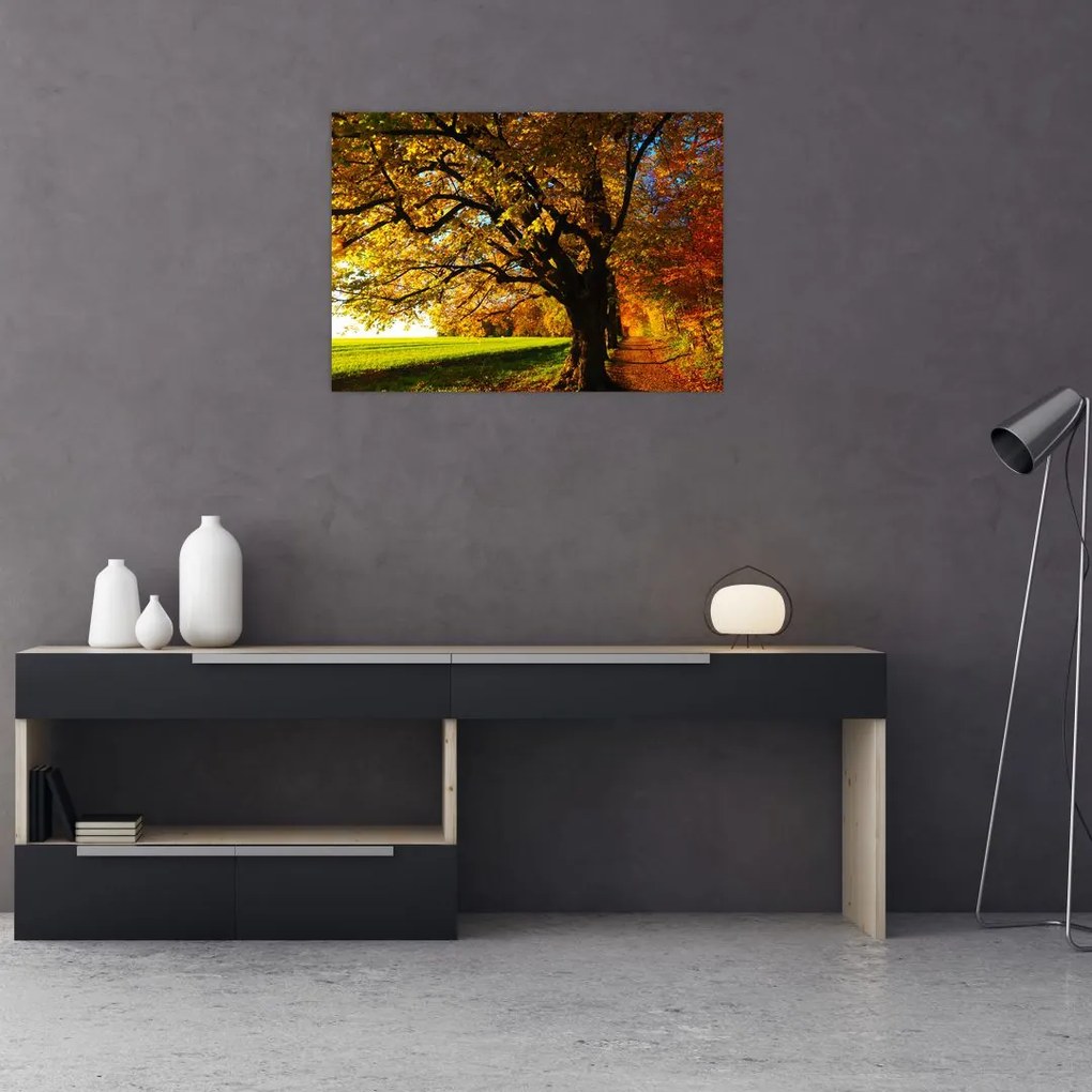 Obraz jesiennego drzewa (70x50 cm)