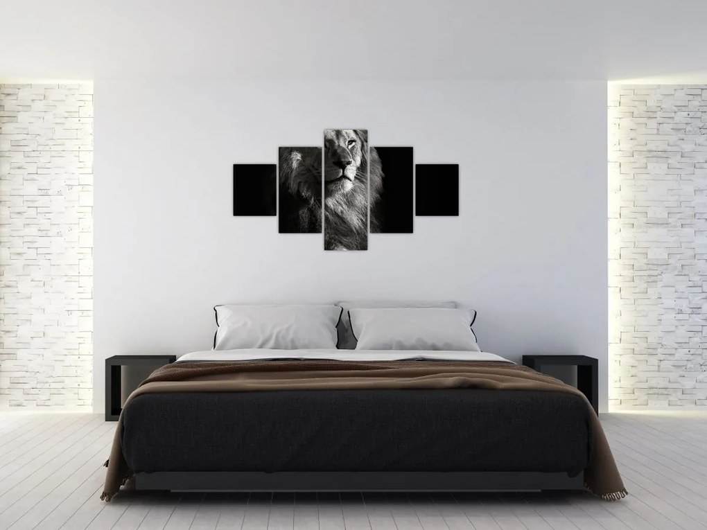 Obraz - Lew (125x70 cm)