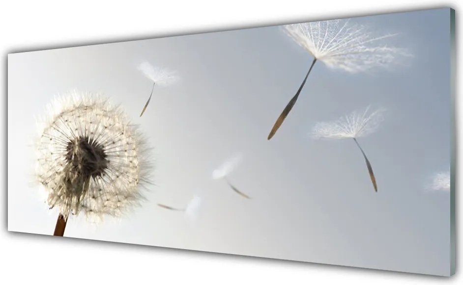 Panel Szklany do Kuchni Ulotne Nasiona Dmuchawca