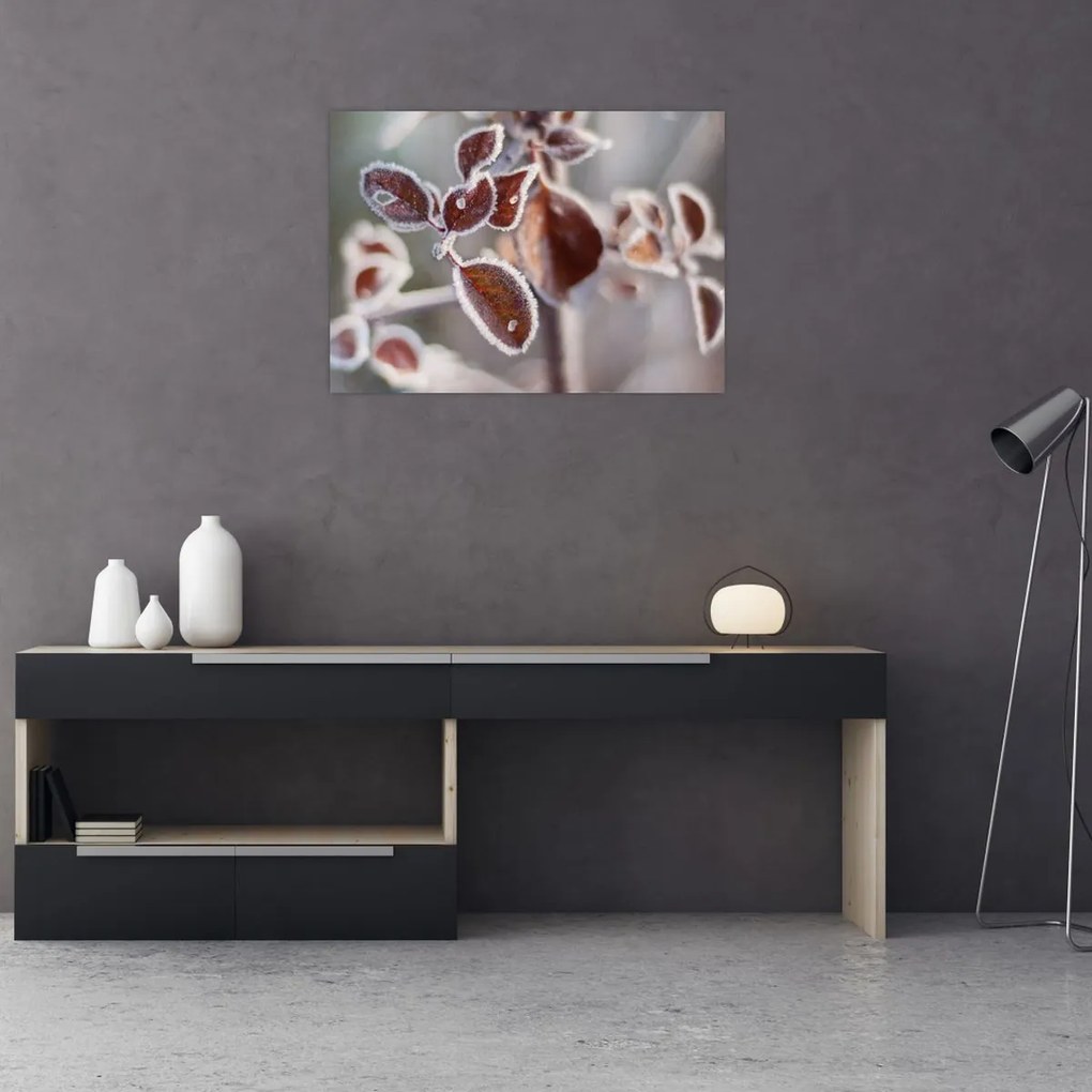 Obraz - Szczegół liści (70x50 cm)