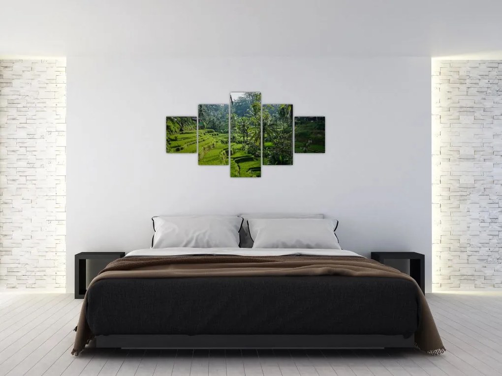 Obraz tarasów ryżowych Tegalalang, Bali (125x70 cm)